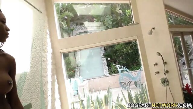 Interracial Lesbian Action with Stella Cox and Nadia Jay