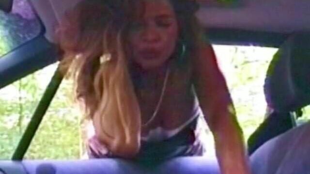 I.M. 1996 Hooker Traudl gets a Quick-Fuck