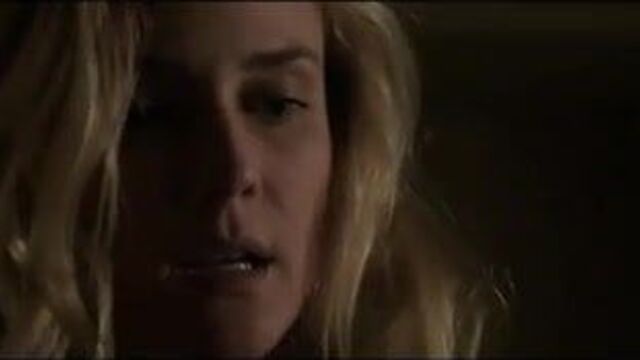 Diane Kruger in The Bridge