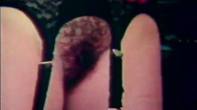 Sexy Lingerie Woman Sucks and Fucks (1970s Vintage)