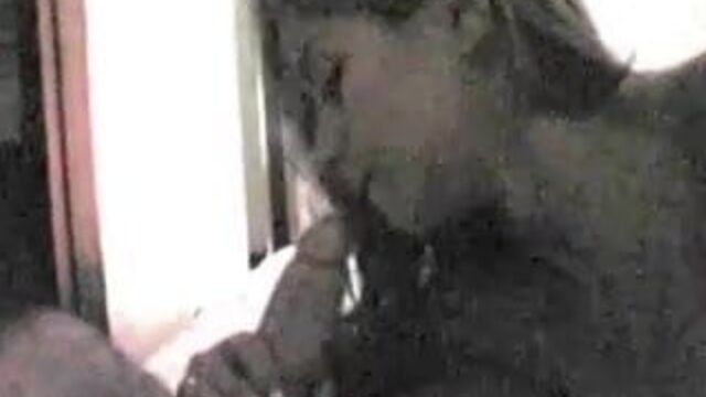 Brazilian celebrity maira cardi blowjobs good