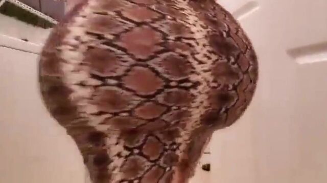 Stepmom & Stepson Affair 102 (Big Ass Latina Stepmom)