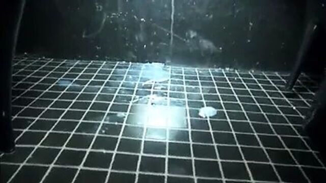 Gloryhole multiple creampies